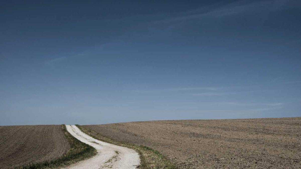 中式快餐10大品牌