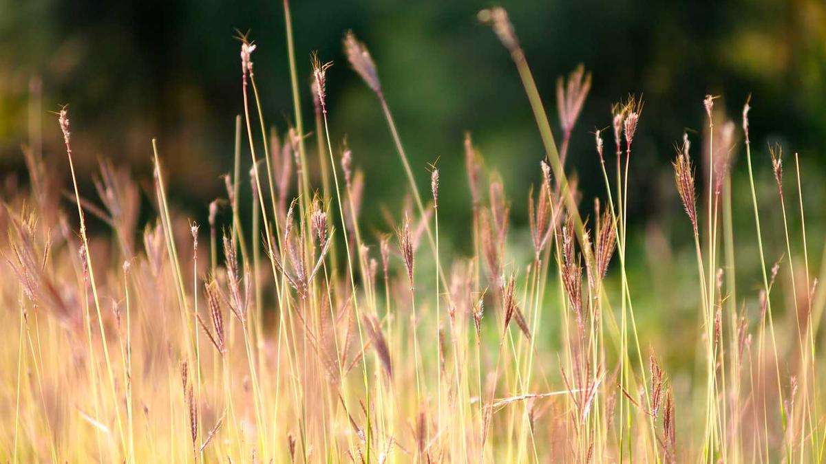 15张极其容易引起误会的照片,看完大脑宕机了