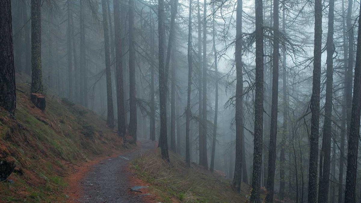 下午茶文案简短高级 喜欢现在的生活