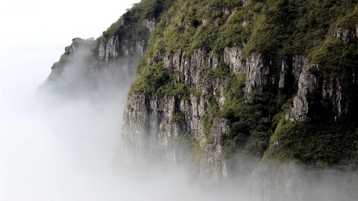 【精油推背】—— 舒缓疲劳,焕发身心活力的最佳拍档