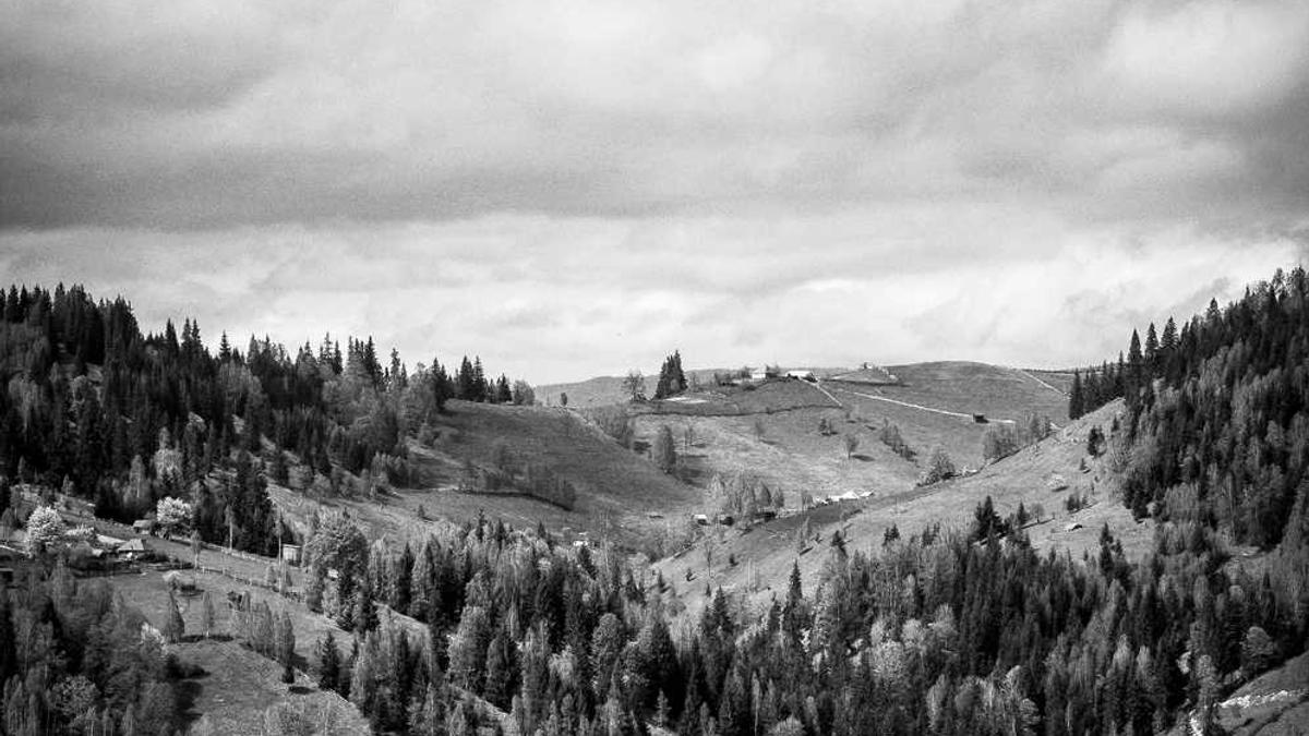 抖音中视频的素材都是在哪里找的?