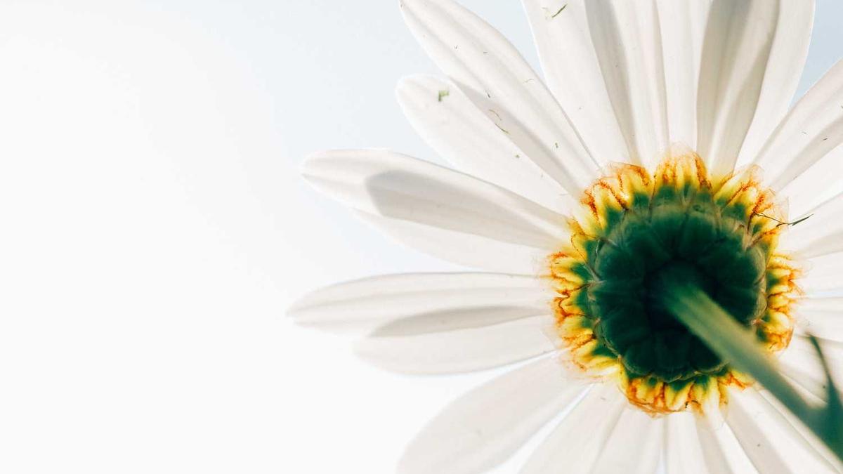 什么是深层组织按摩?