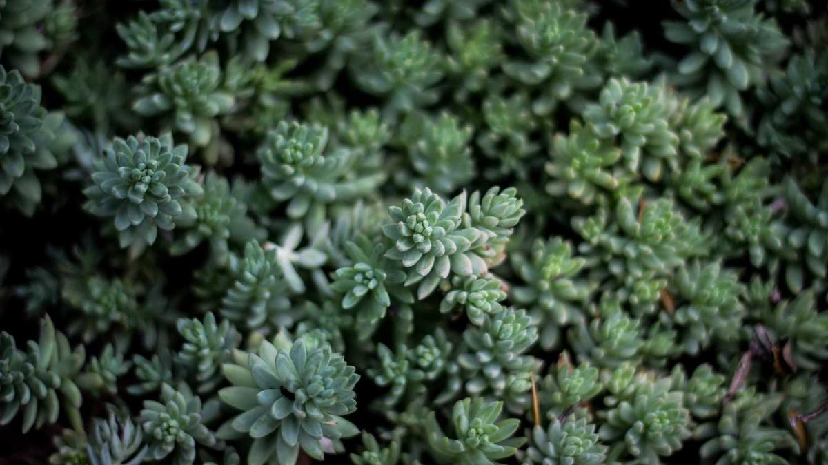 佳木斯健身操基本动作要领