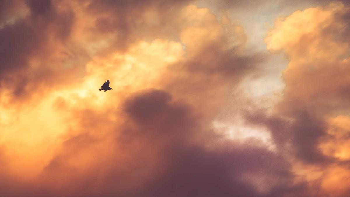 1934年的营川坠龙事件,神龙两次坠地引众人围观(最后离奇消失)