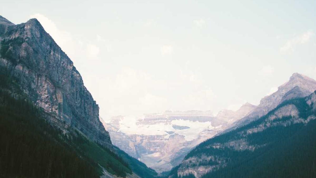 合肥医保2026年取消了吗