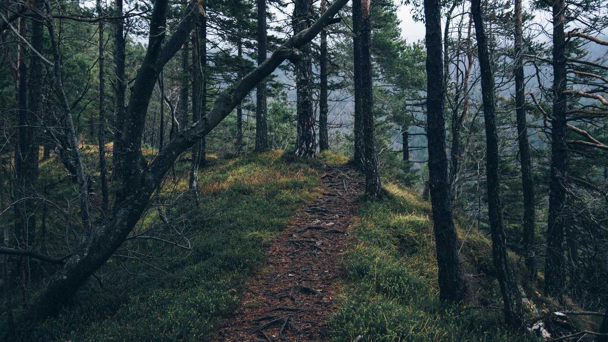 吕梁13个县分别是哪些