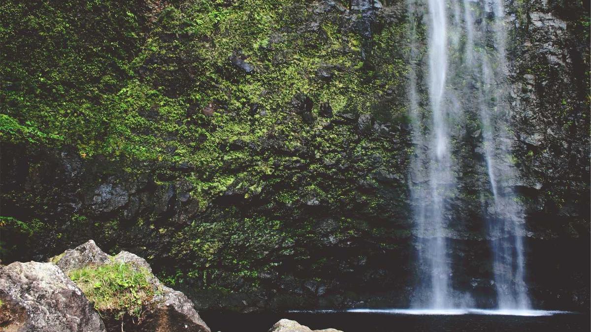 辽宁抚顺市简介