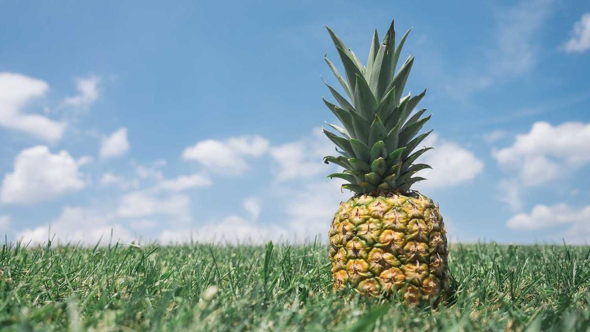 三峡游轮旅游价格宜昌到重庆,三峡游轮旅游价格宜昌到重庆五日游价格表...