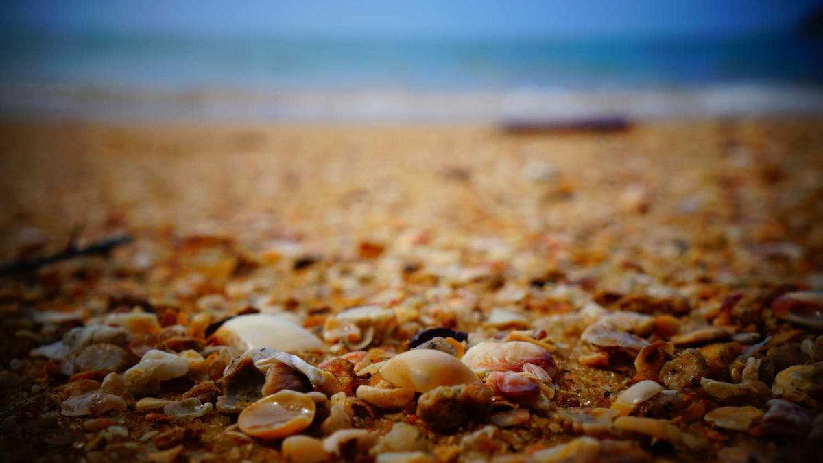 通过什么途径能知道男人找过小姐没?