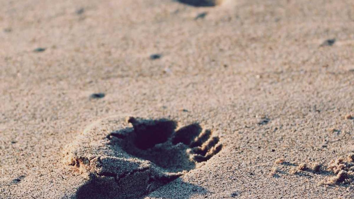 济南市供暖标准