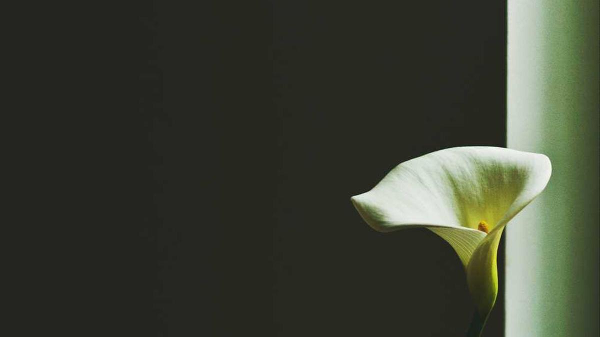 临沂拼音是什么