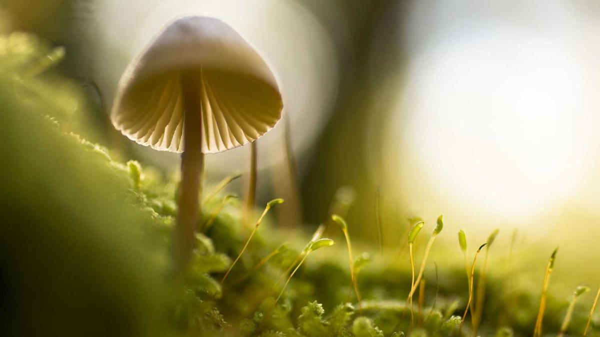 224000是哪地方的邮编