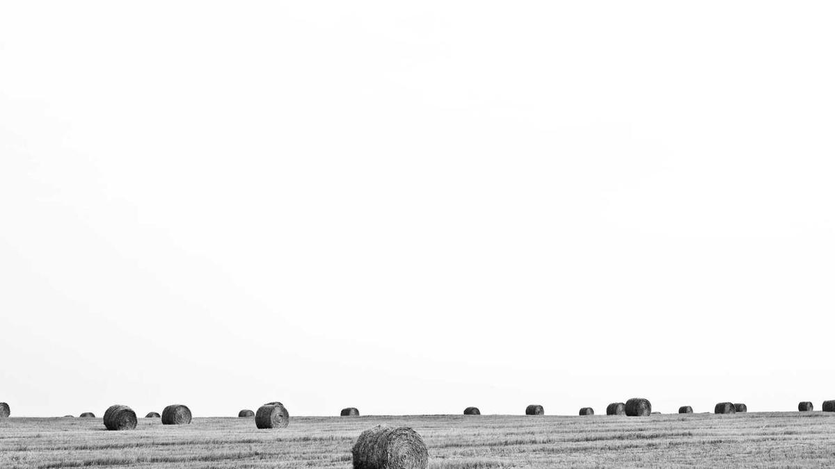 东白山春季和秋季露营看日出需要提前多久到达?