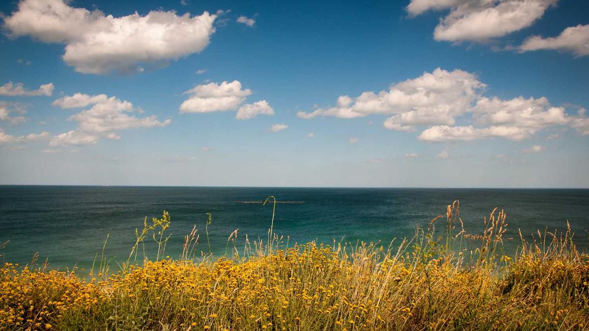 打12348法律咨询收费吗