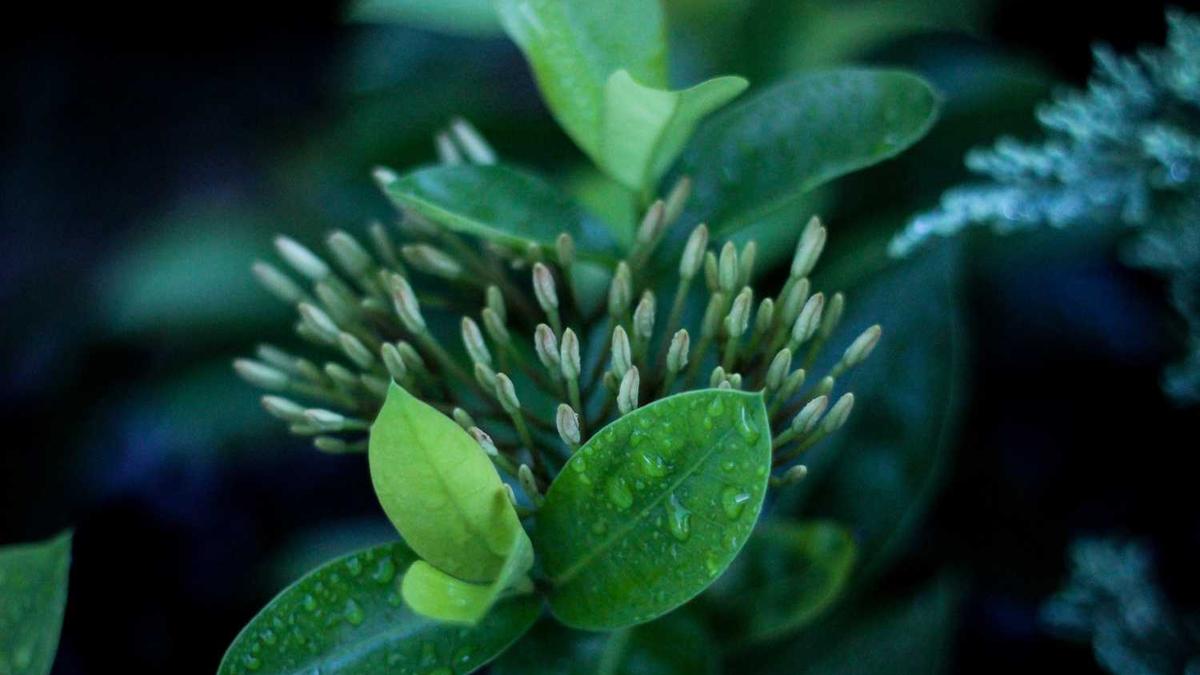 珠海引进的电池企业