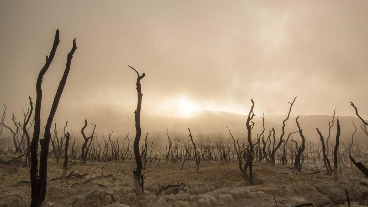 河源万绿湖的简介和历史
