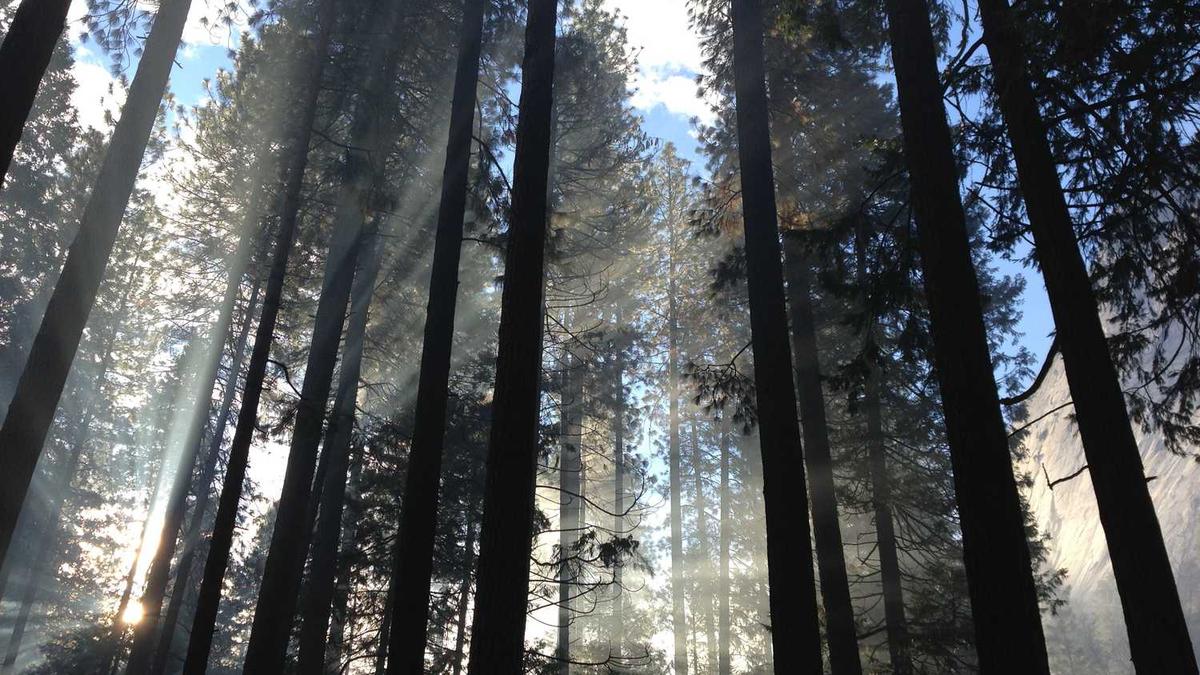 江西南北中三区域划分,赣南、赣中、赣北分别有哪些市?