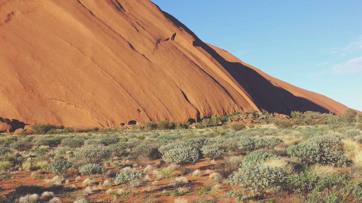 张家口学院新校区都有什么专业