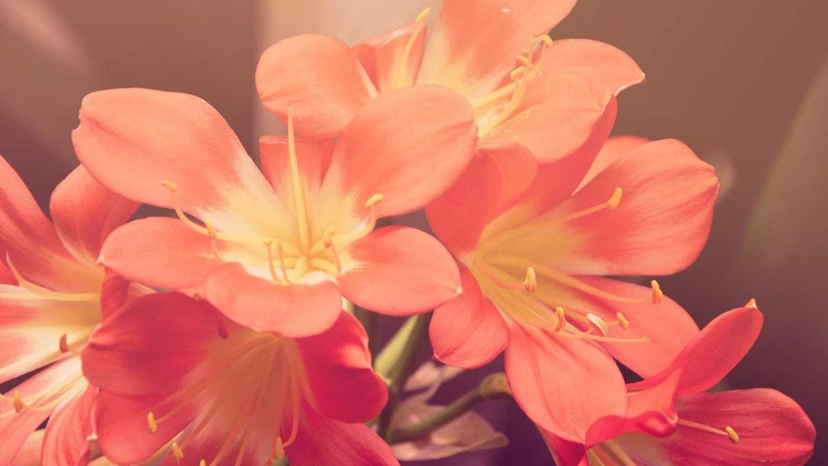 上海城隍庙有什么游乐项目