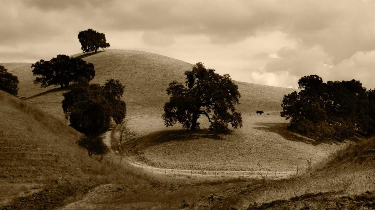长沙未来10天天气预报
