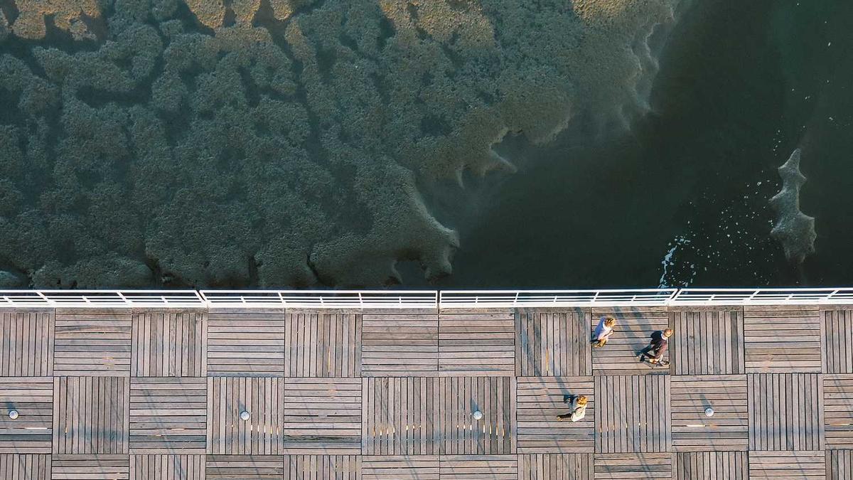 速看!2025年“专精特新”政策变化有哪些?