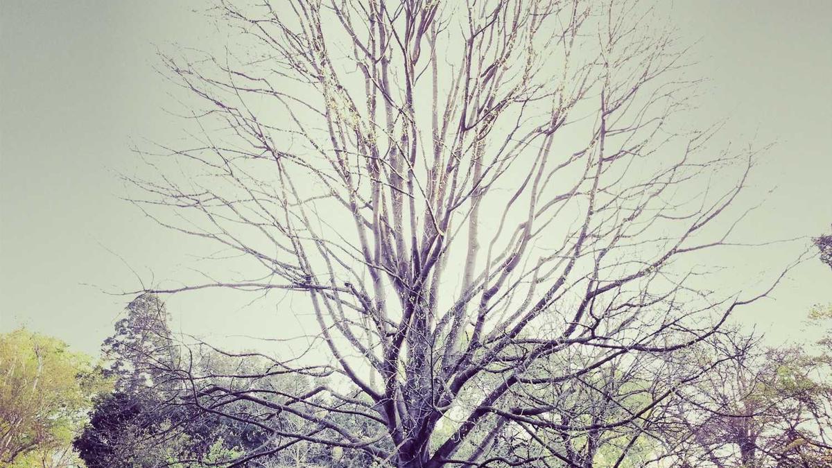 合肥最值得去的地方