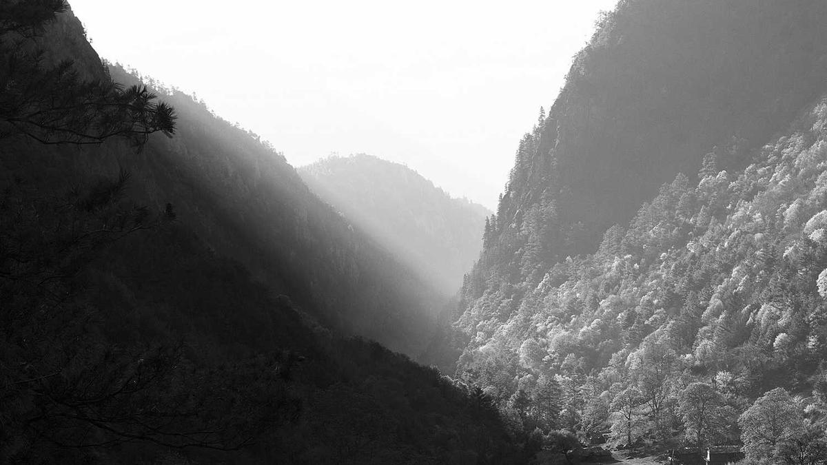 海口是属于哪个省的城市