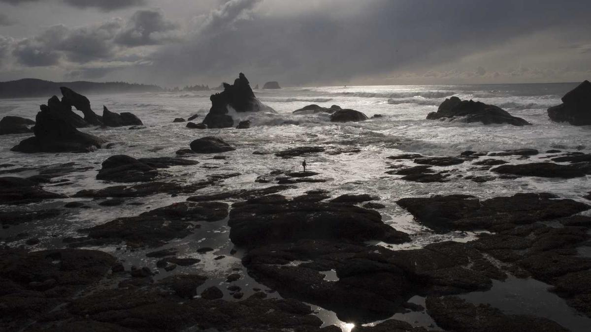 旧小区改造电梯价格一览表