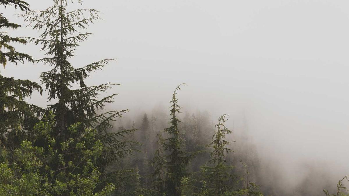 云南省曲靖市简介