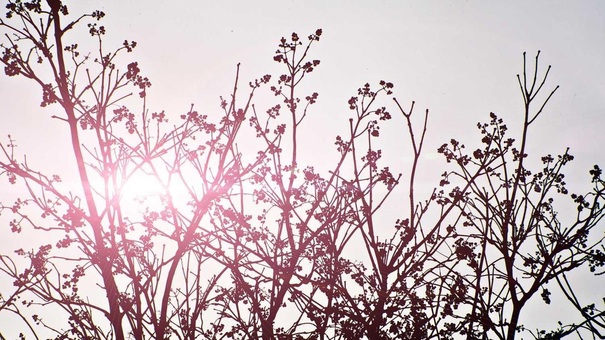 不设市辖区的地级市的历史