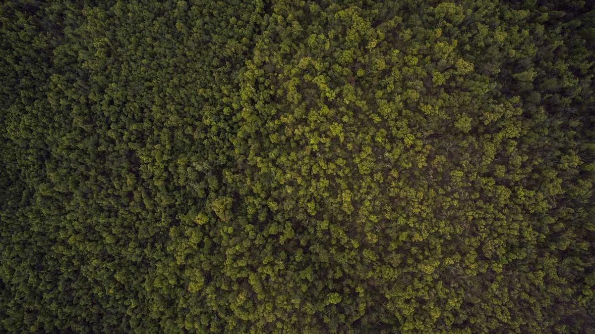 丽江古城必去的几个景点