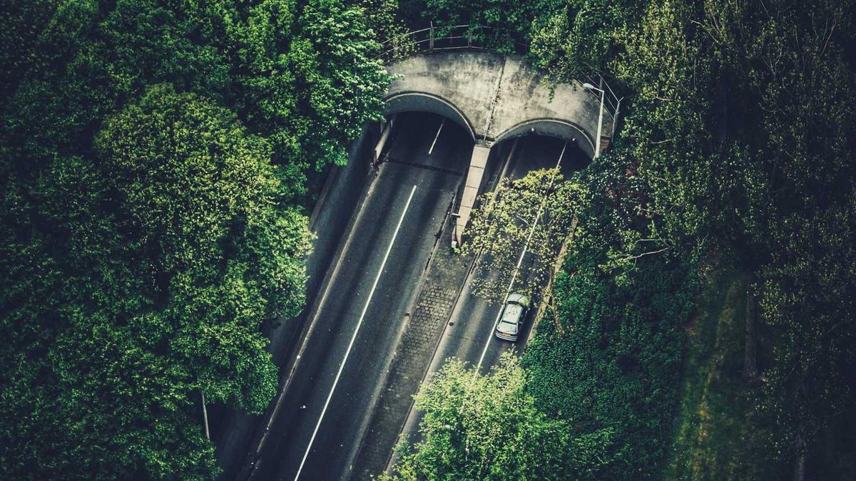 内江国家开放大学中专的用途学历认证报告编号在哪