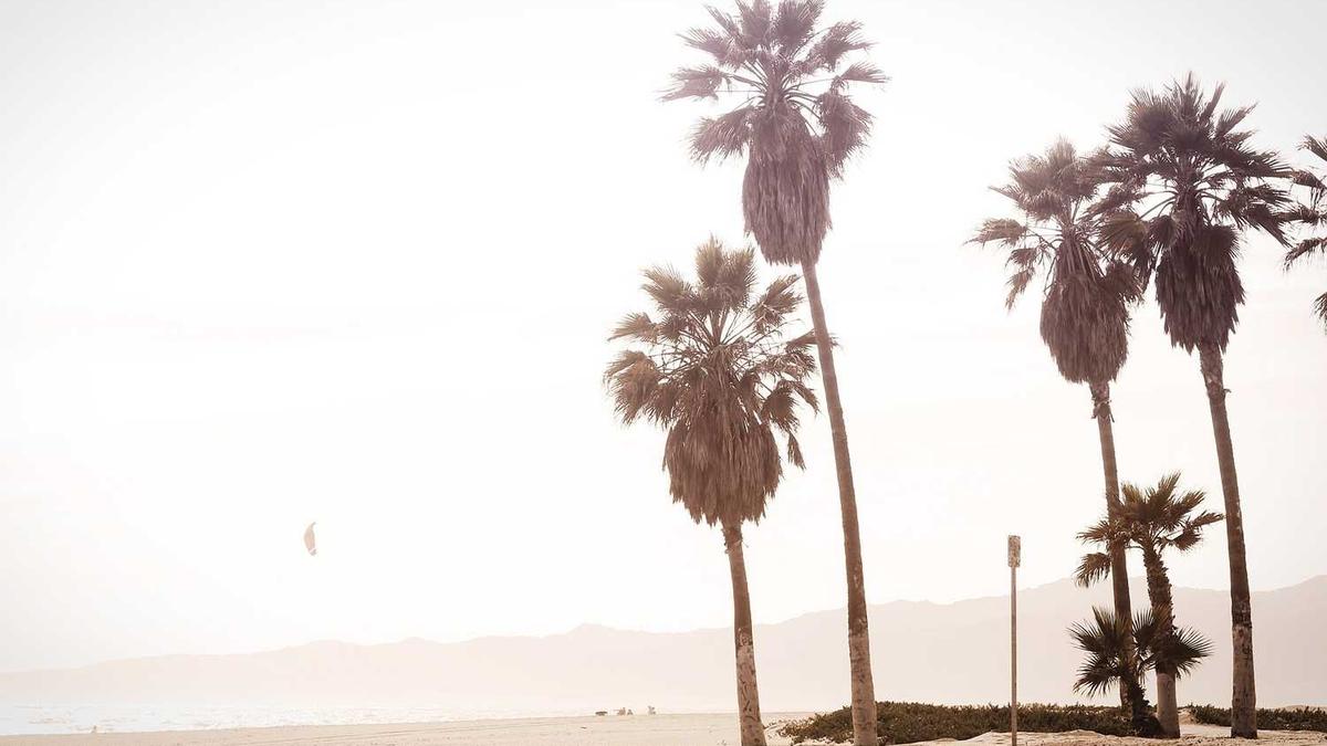 南平是哪个省哪个市