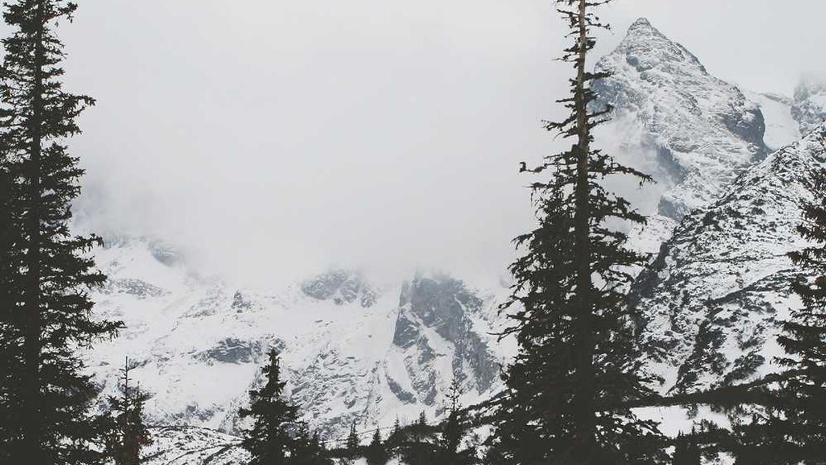 贺州学院一年学费多少