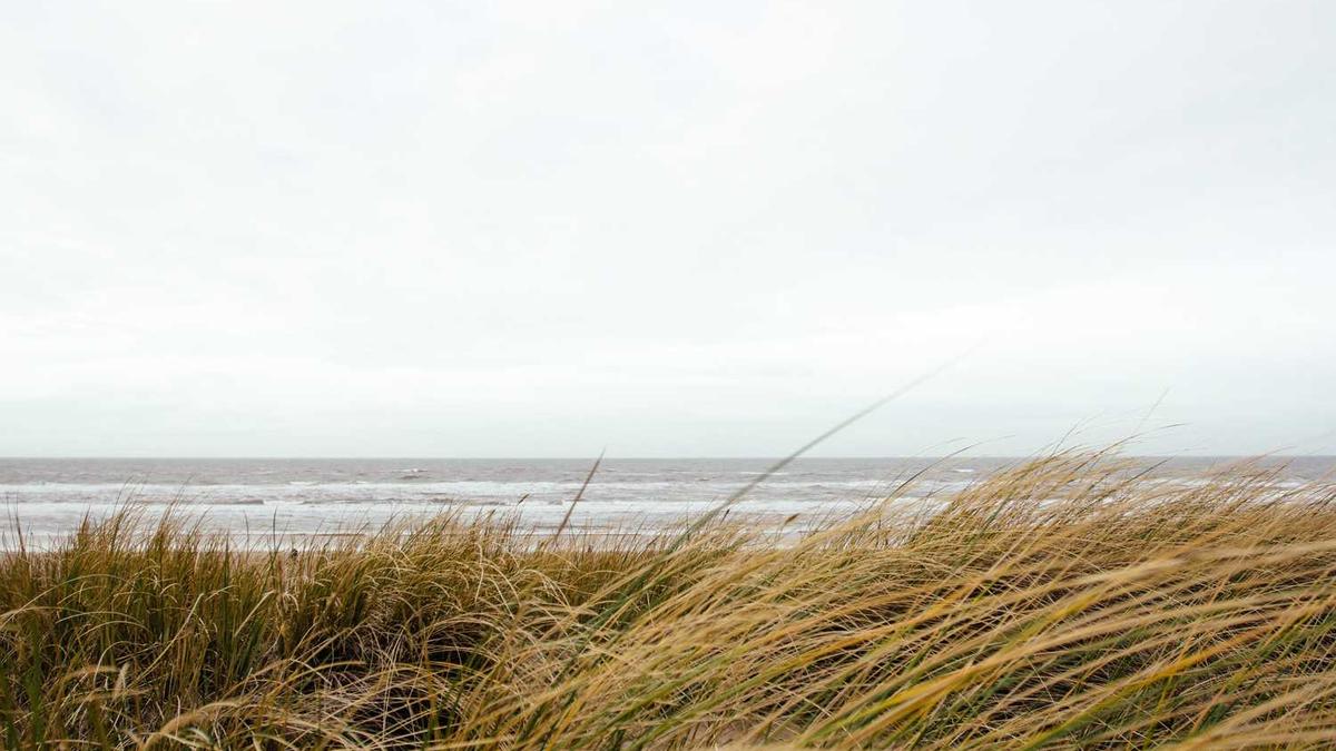 澧县运达包装厂新建厂址在哪里