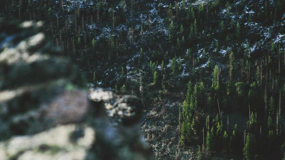 十堰是北方还是南方