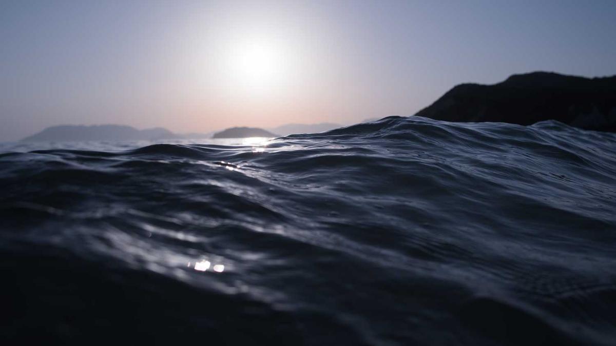 2014年东营事业单位考试简章出了吗