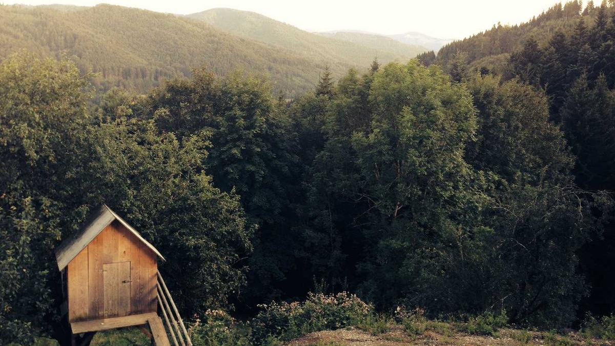 有关典型的军史