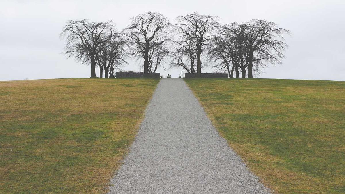 湖南/长沙有调查取证的专业公司吗? 最近刚刚开始了解这方面,希望大_百 ...