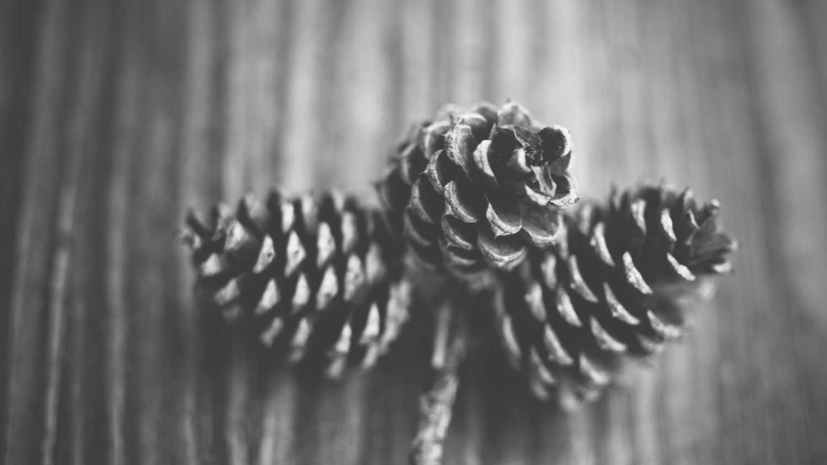 河北唐山烧烤店打人事件:涉嫌9人全部执行逮捕