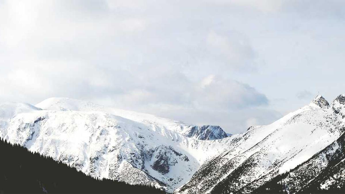 唐山九名打人者从归案到判刑需要等多久?