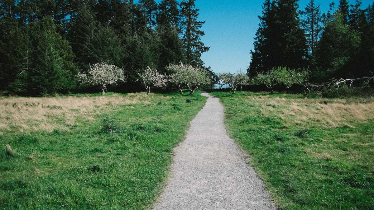 张家口目前的温度是多少,穿什么衣服合适