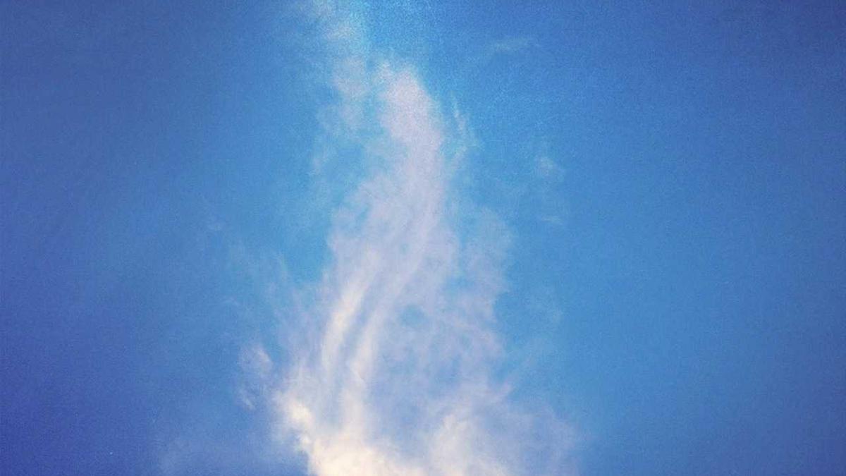 每天了解一家新公司:东方甄选