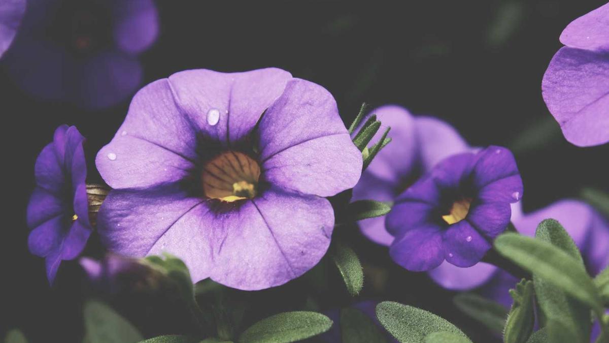 北海旅游行程路线攻略-玩几天合适?费用多少?