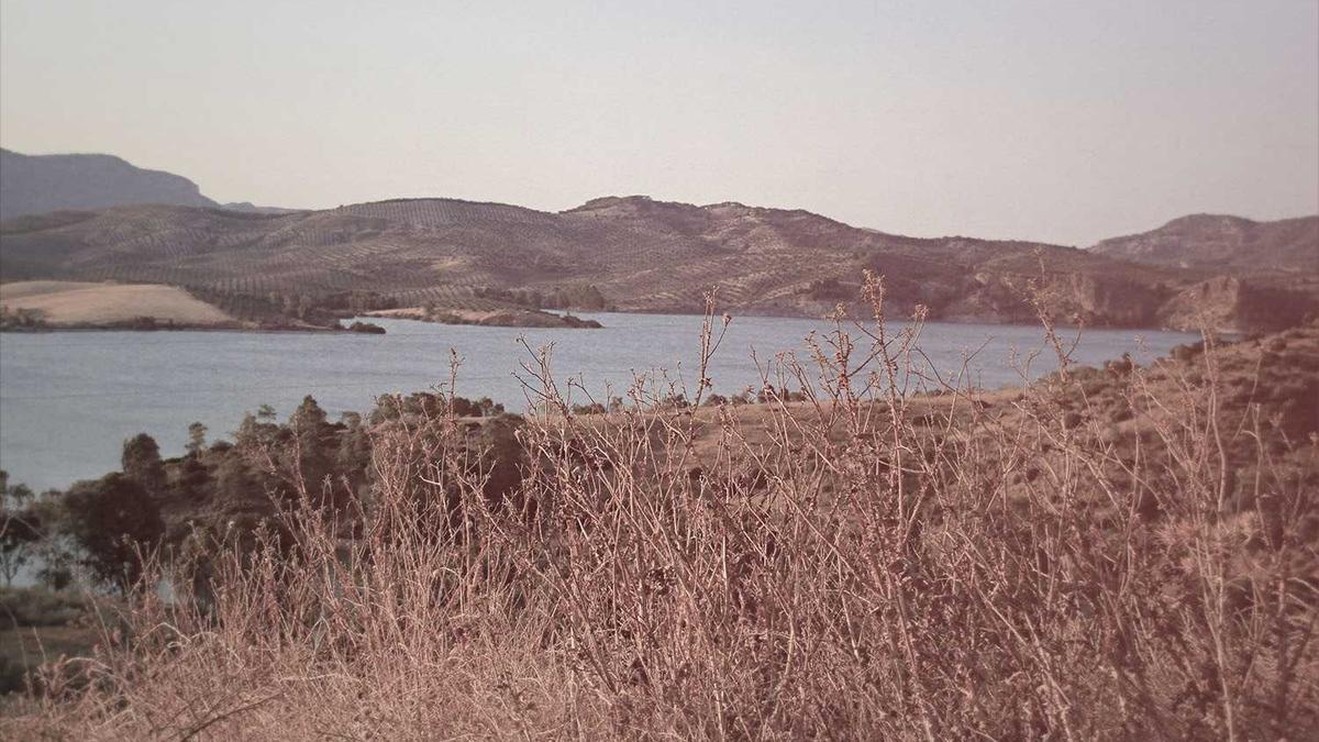 苏州郊区的房子多少钱一平方米