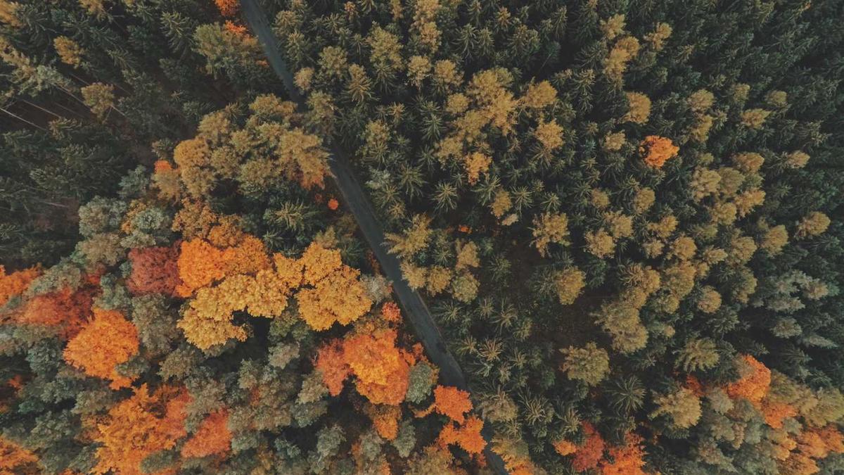 徐工集团是央企还是国企