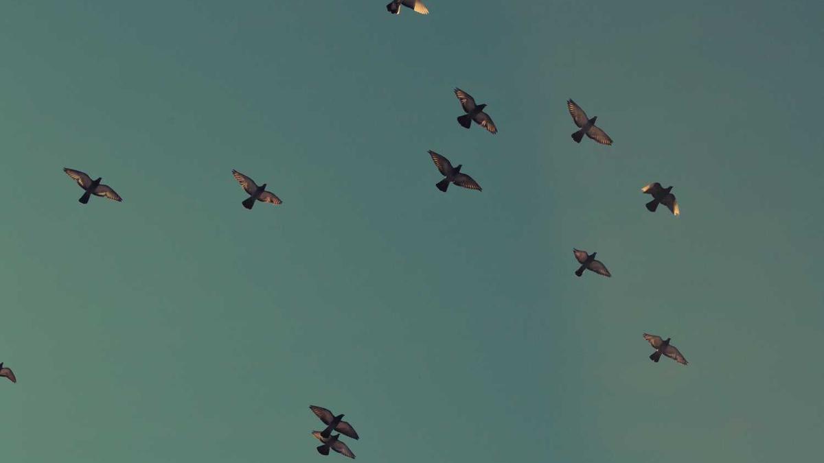 村医工资聊城何时实施