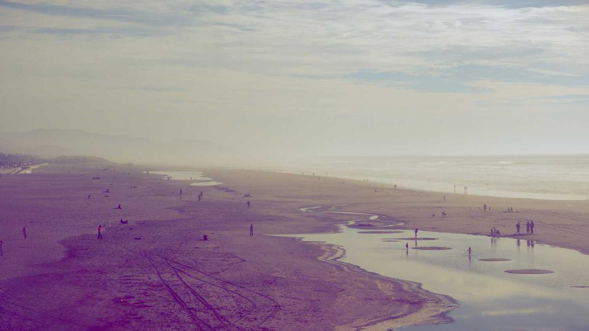 34届中国厨师节嘉宾名单