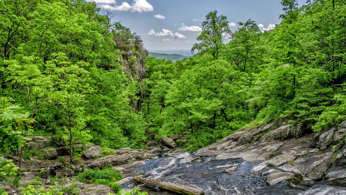 济宁职业技术学院到底怎么样