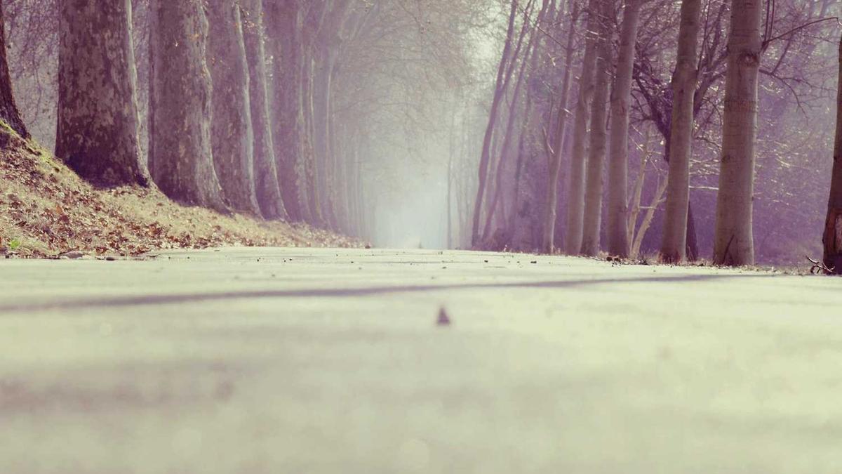 喝茶和喝咖啡哪个更好?(谁更健康?)